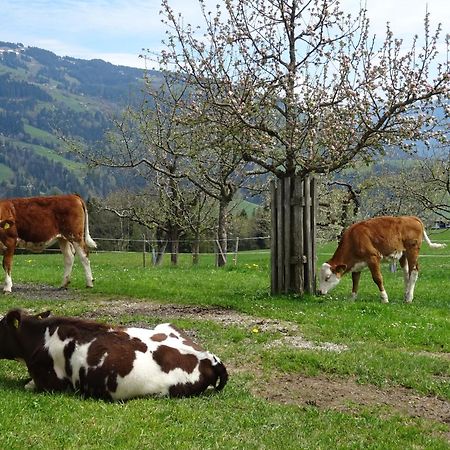 Achrainer-Moosen Vila Hopfgarten im Brixental Exterior foto